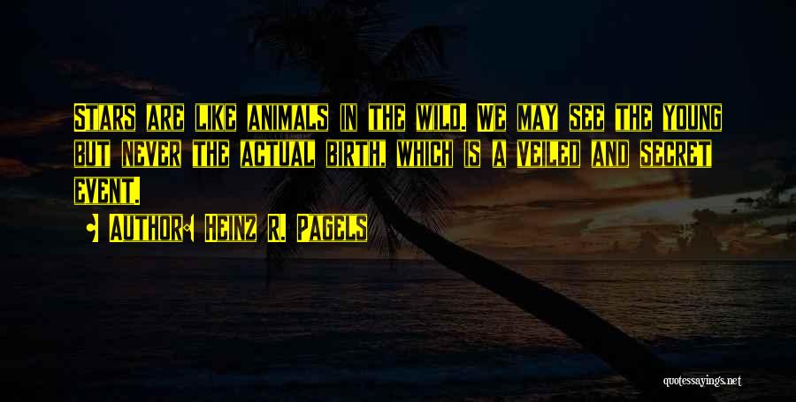Heinz R. Pagels Quotes 520931