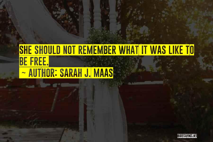 Heir Of Fire Quotes By Sarah J. Maas