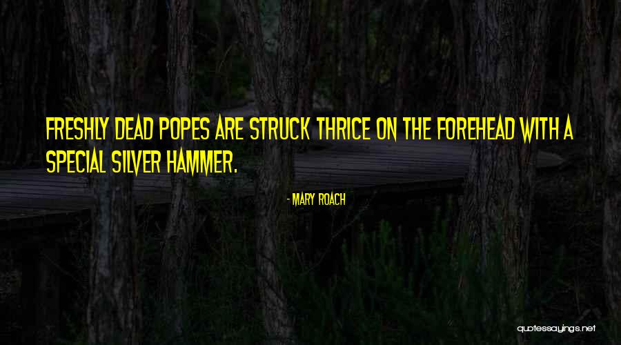 Hekmat Hakiman Quotes By Mary Roach Hekmat Hakiman Quotes By Mary Roach