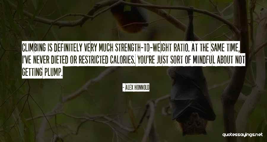 Helander Studio Quotes By Alex Honnold Helander Studio Quotes By Alex Honnold
