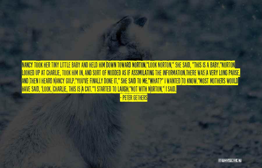 Held You Down Quotes By Peter Gethers Held You Down Quotes By Peter Gethers