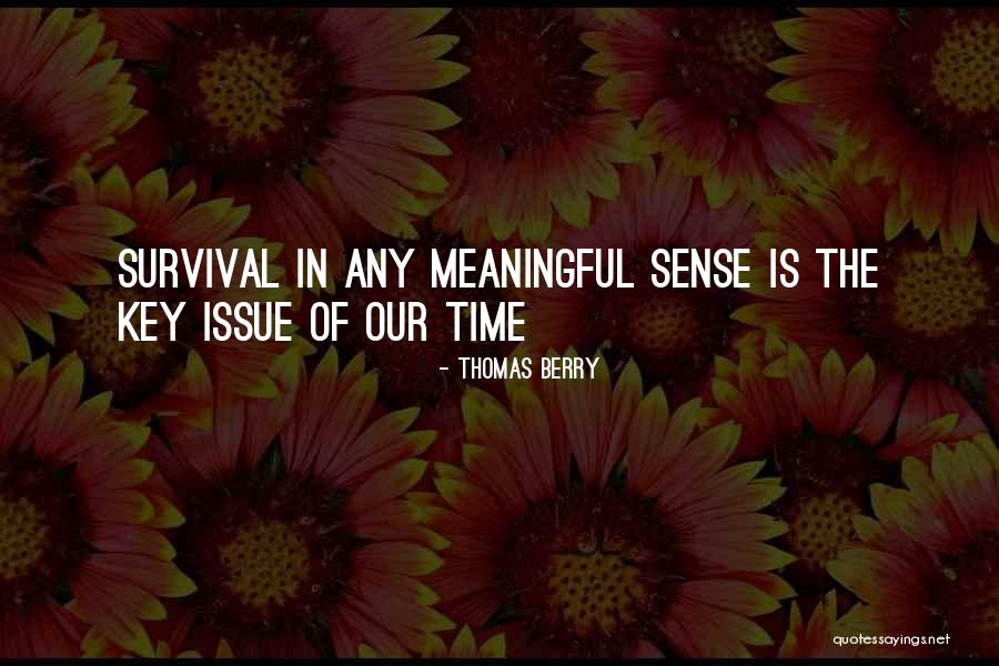 Helemaal Mooi Quotes By Thomas Berry Helemaal Mooi Quotes By Thomas Berry