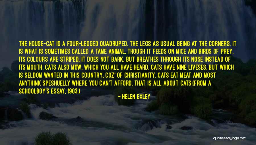 Helen Exley Quotes 487993