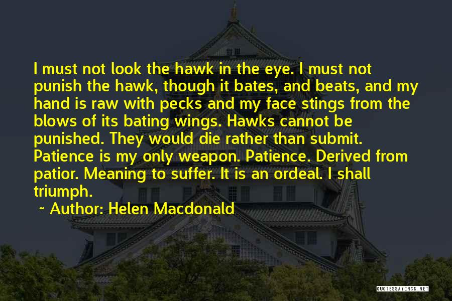 Helen Macdonald Quotes 1127552