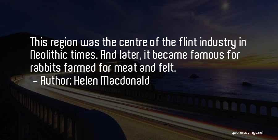 Helen Macdonald Quotes 1197771