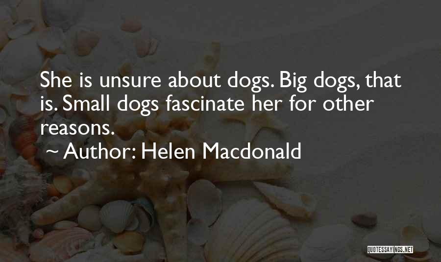 Helen Macdonald Quotes 1285345