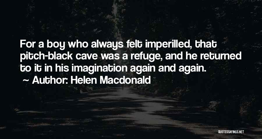 Helen Macdonald Quotes 1324663