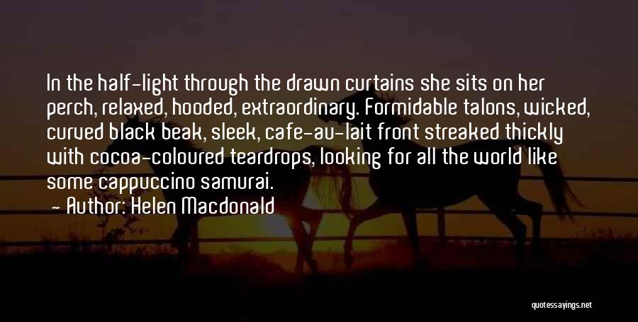 Helen Macdonald Quotes 1617763