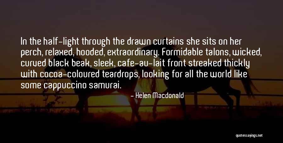 Helen Macdonald Quotes 1617763