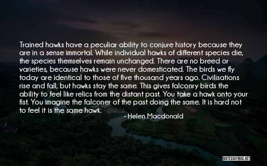Helen Macdonald Quotes 1876811 Helen Macdonald Quotes 1876811