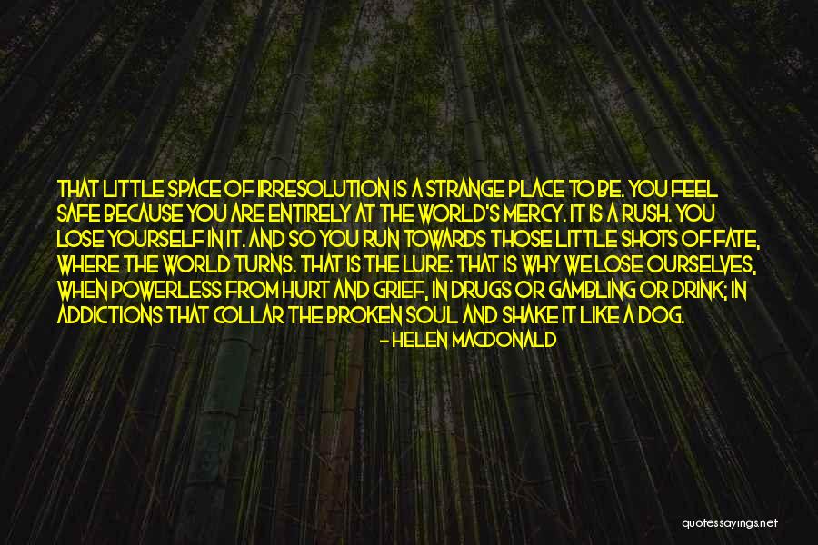 Helen Macdonald Quotes 2126252 Helen Macdonald Quotes 2126252