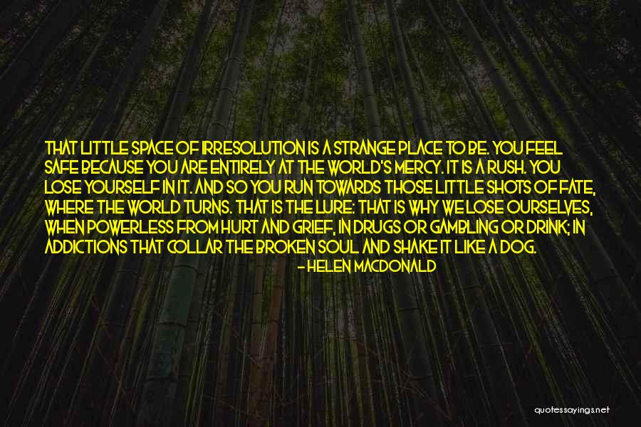 Helen Macdonald Quotes 2126252