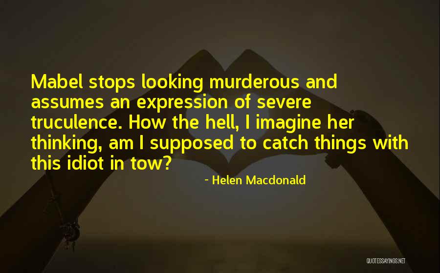 Helen Macdonald Quotes 2166492