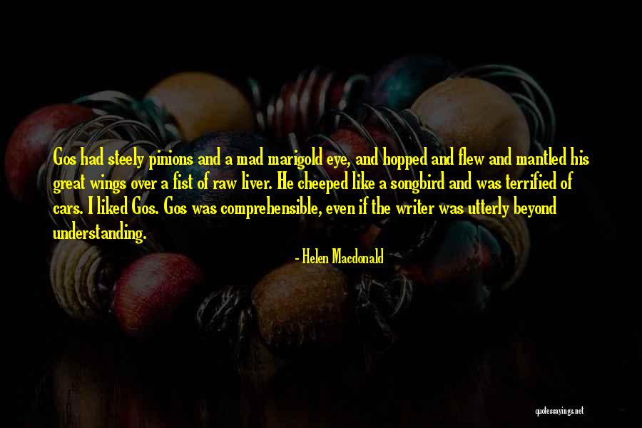 Helen Macdonald Quotes 307144