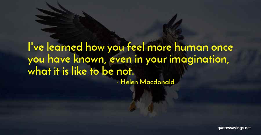 Helen Macdonald Quotes 346264