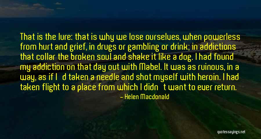 Helen Macdonald Quotes 720710 Helen Macdonald Quotes 720710