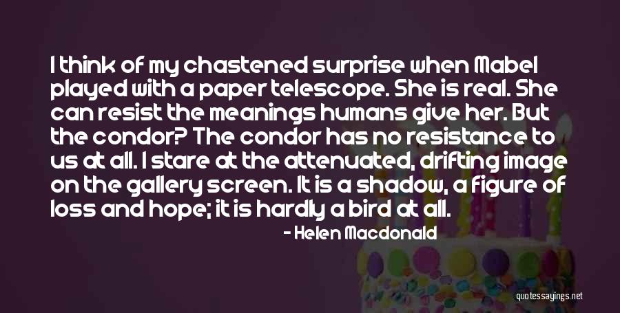 Helen Macdonald Quotes 945659