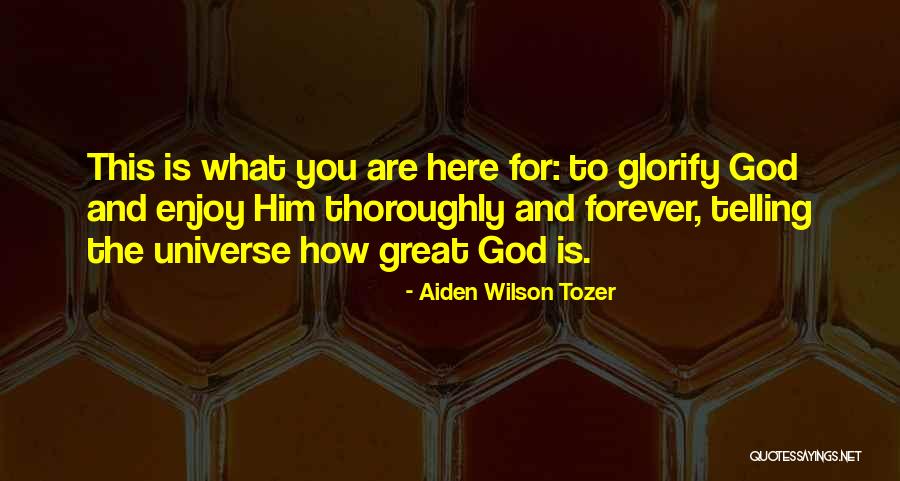 Helena Vondr C3 A1 C4 8dkov C3 A1 Quotes By Aiden Wilson Tozer Helena Vondr C3 A1 C4 8dkov C3 A1 Quotes By Aiden Wilson Tozer