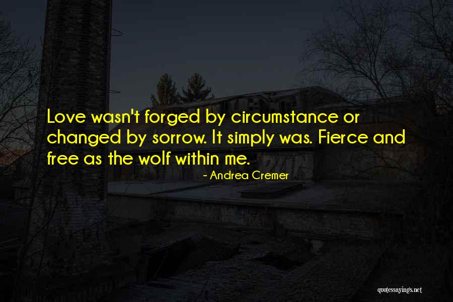Helencartercatalogue Quotes By Andrea Cremer Helencartercatalogue Quotes By Andrea Cremer