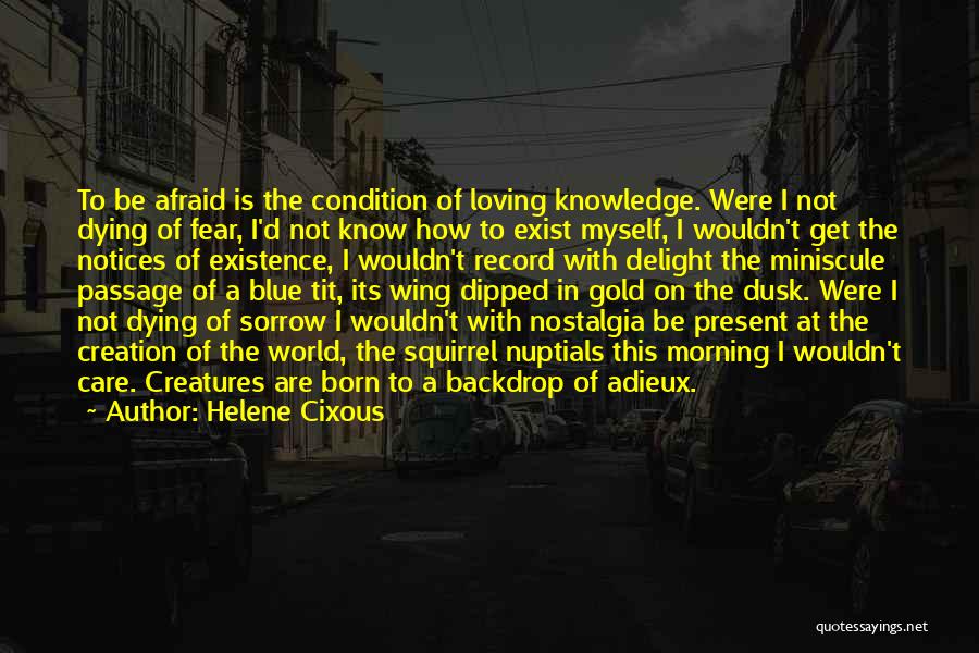 Helene Cixous Quotes 115584