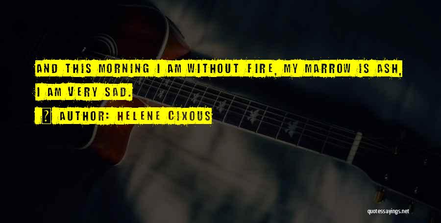 Helene Cixous Quotes 1573040