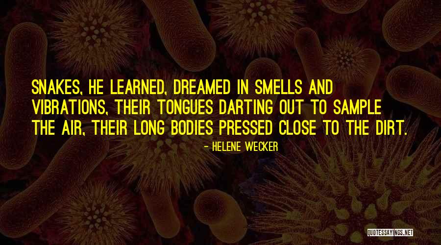 Helene Wecker Quotes 661053