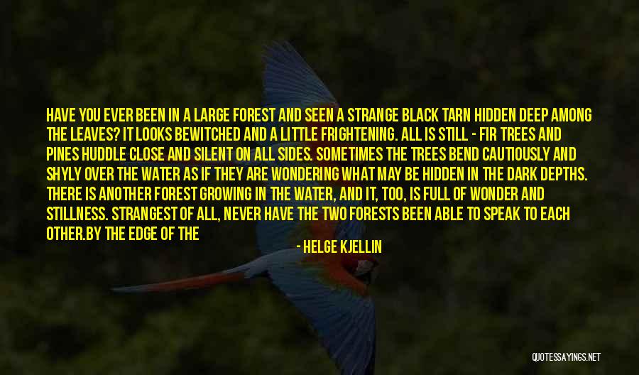 Helge Kjellin Quotes 1734902 Helge Kjellin Quotes 1734902