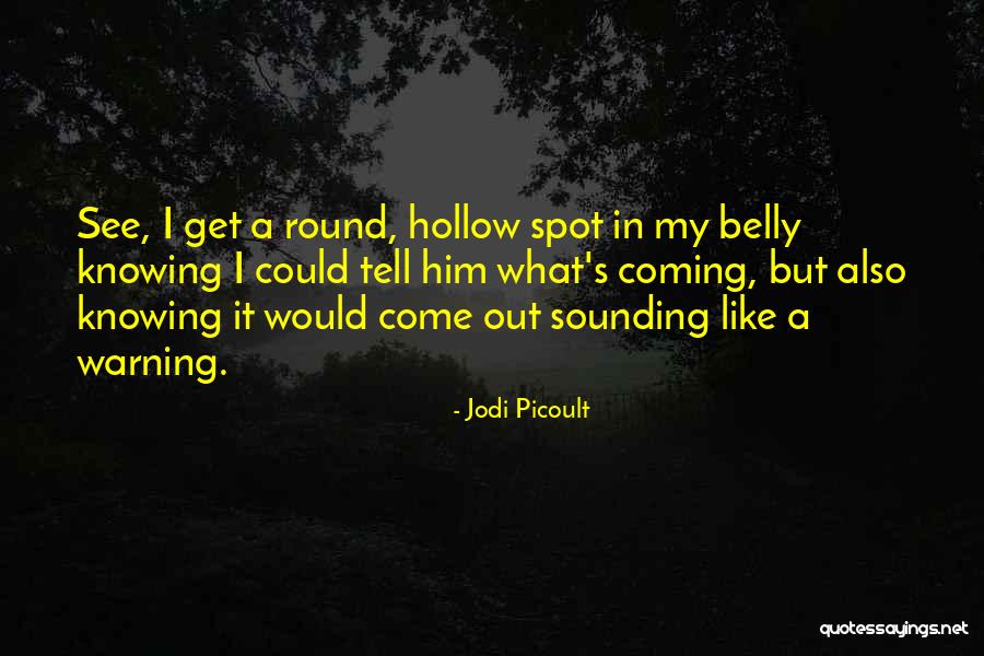 Helicarrier Lego Quotes By Jodi Picoult Helicarrier Lego Quotes By Jodi Picoult