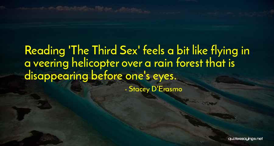 Helicopter Flying Quotes By Stacey D'Erasmo Helicopter Flying Quotes By Stacey D'Erasmo
