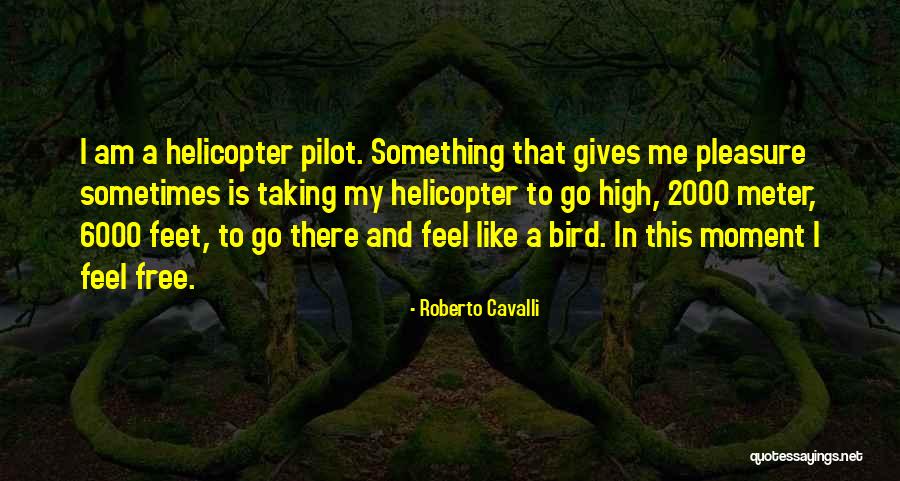 Helicopter Pilot Quotes By Roberto Cavalli