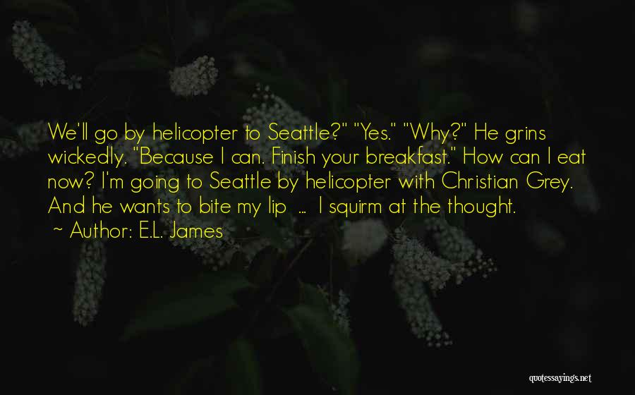 Helicopter Quotes By E.L. James