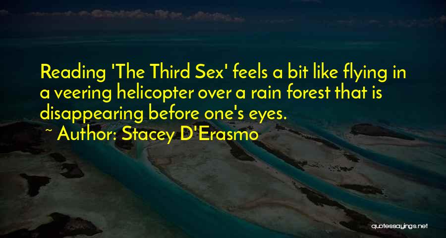 Helicopter Quotes By Stacey D'Erasmo