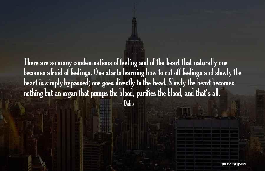 Heliocentrism Wikipedia Quotes By Osho Heliocentrism Wikipedia Quotes By Osho