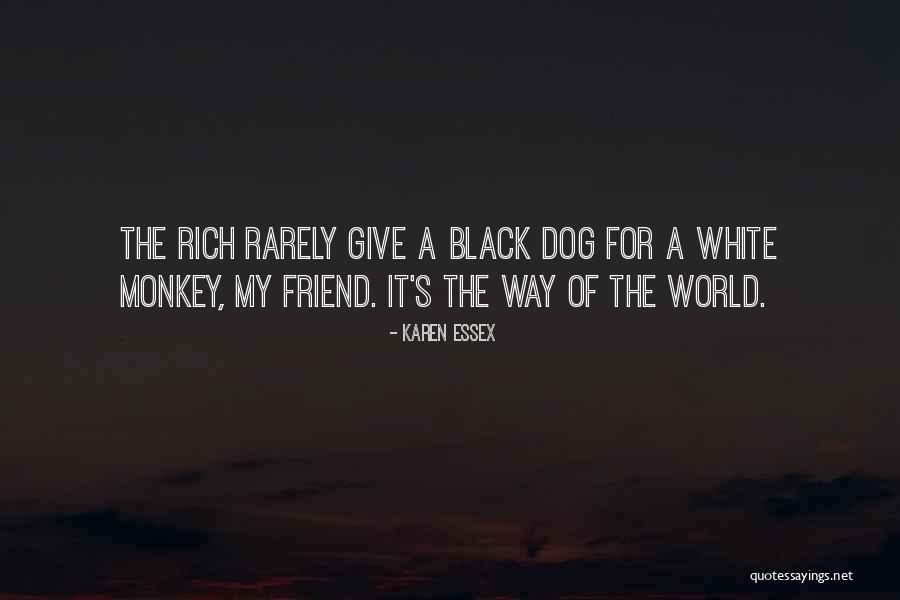Heliographic Quotes By Karen Essex Heliographic Quotes By Karen Essex