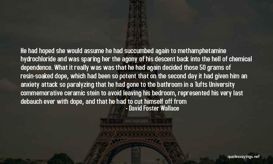 Hell And Back Again Quotes By David Foster Wallace Hell And Back Again Quotes By David Foster Wallace