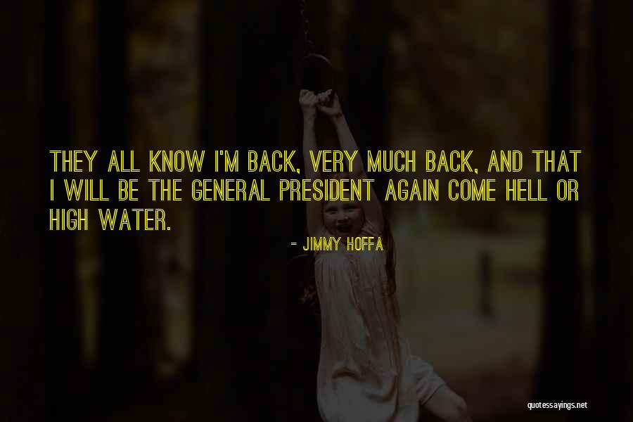 Hell And Back Again Quotes By Jimmy Hoffa