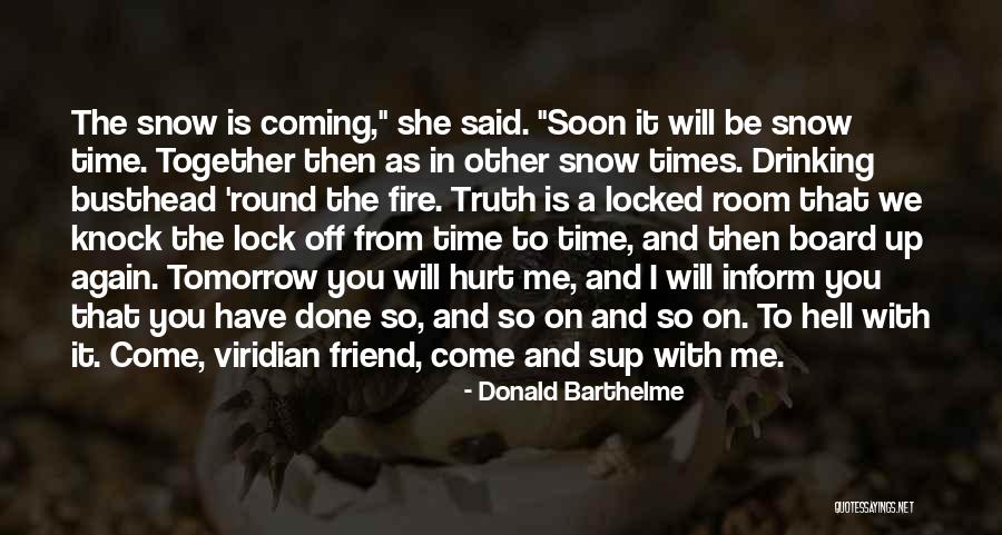 Hell Fire Quotes By Donald Barthelme