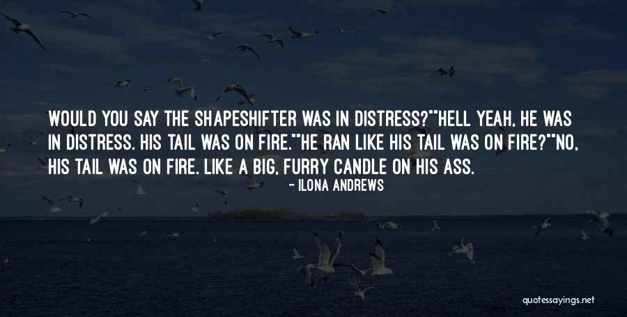 Hell Fire Quotes By Ilona Andrews