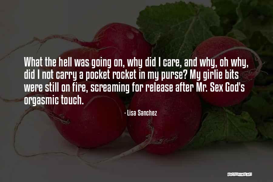 Hell Fire Quotes By Lisa Sanchez