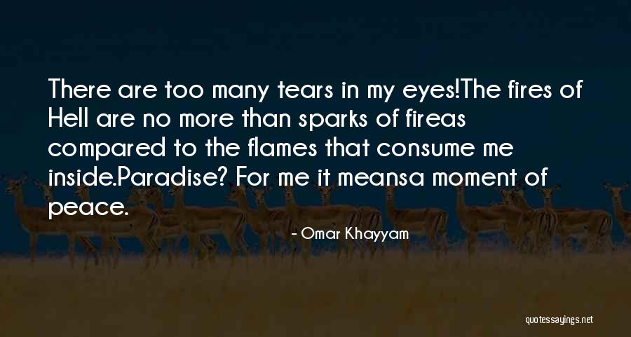 Hell Fire Quotes By Omar Khayyam