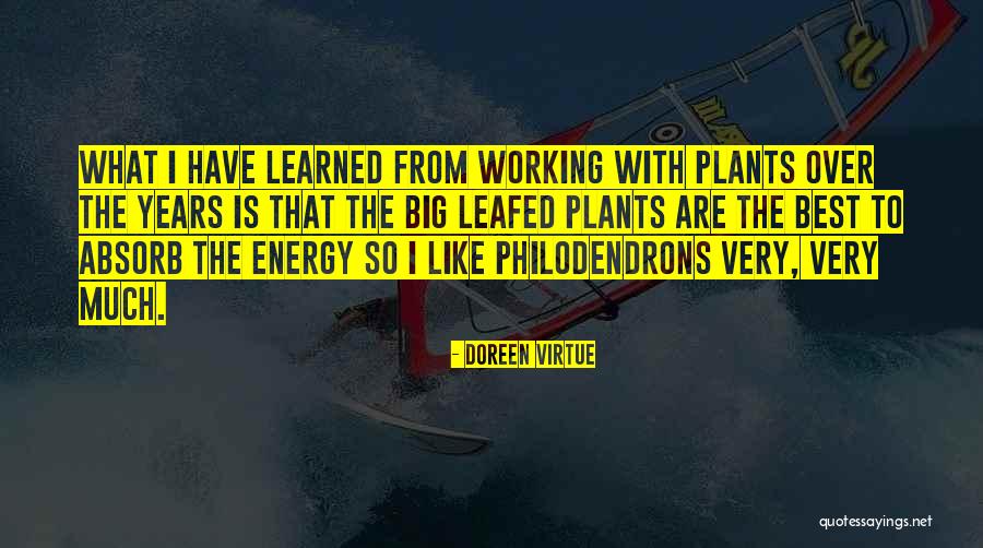 Hellas Fm Quotes By Doreen Virtue Hellas Fm Quotes By Doreen Virtue