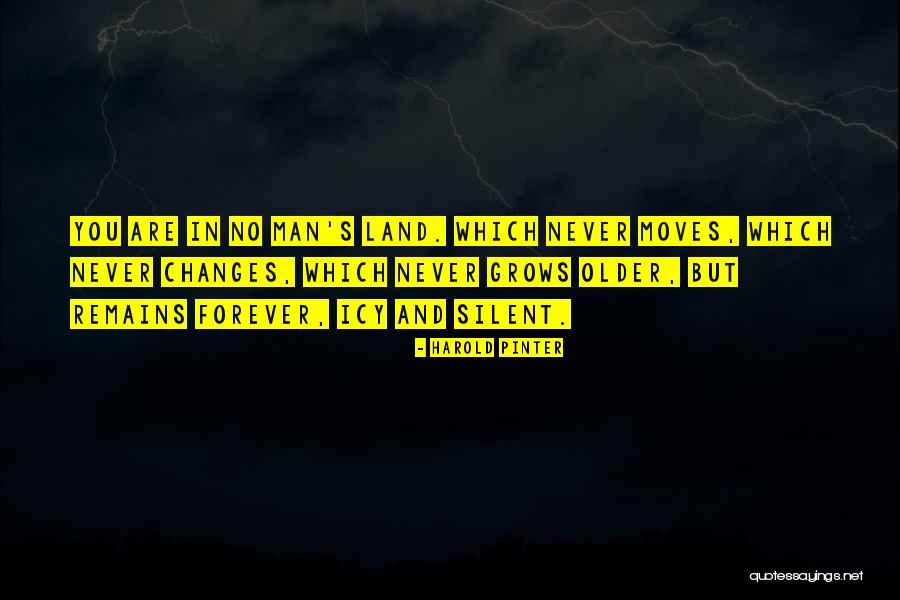 Helldiver Duck Quotes By Harold Pinter Helldiver Duck Quotes By Harold Pinter