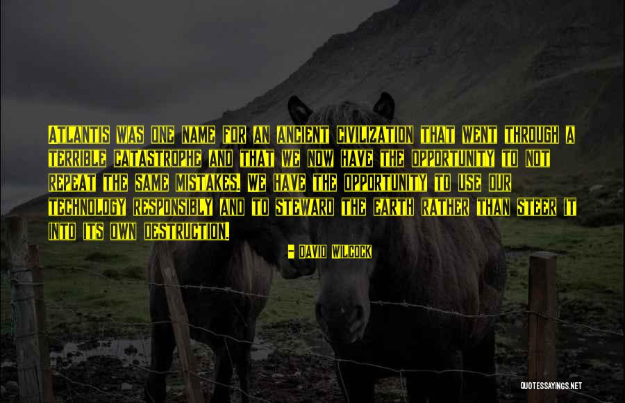 Heller Ford Quotes By David Wilcock Heller Ford Quotes By David Wilcock