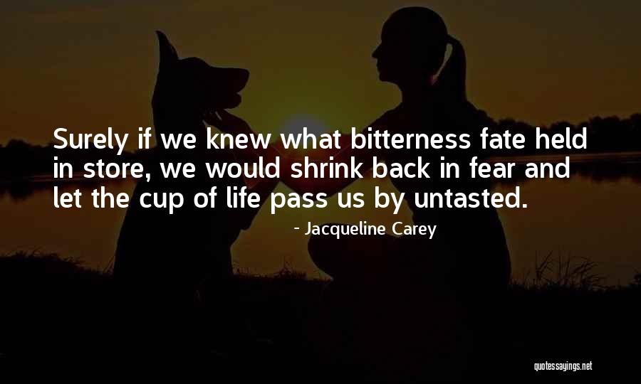 Hellholes Quotes By Jacqueline Carey Hellholes Quotes By Jacqueline Carey