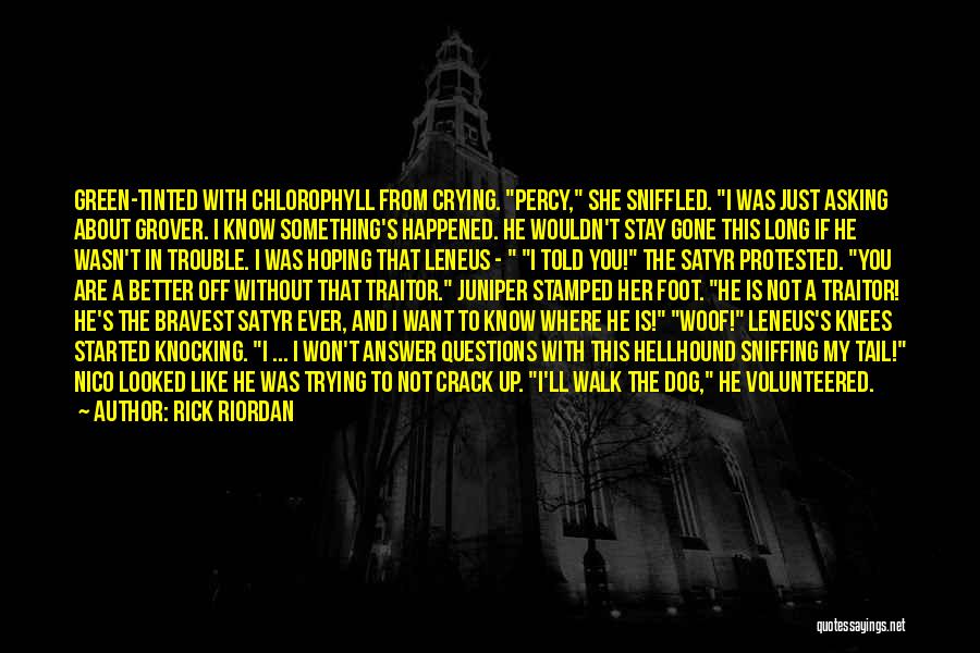 Hellhound Quotes By Rick Riordan