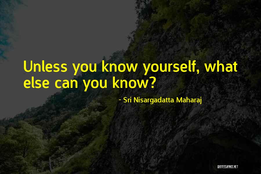 Hellion Boat Quotes By Sri Nisargadatta Maharaj Hellion Boat Quotes By Sri Nisargadatta Maharaj