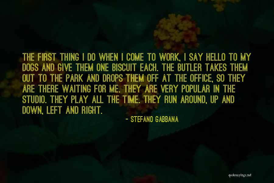 Hello Biscuit Quotes By Stefano Gabbana Hello Biscuit Quotes By Stefano Gabbana