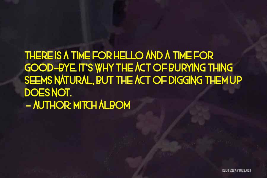 Hello Hello Quotes By Mitch Albom