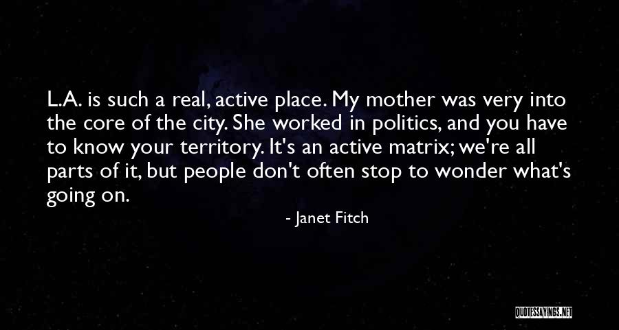 Hellwarders Quotes By Janet Fitch