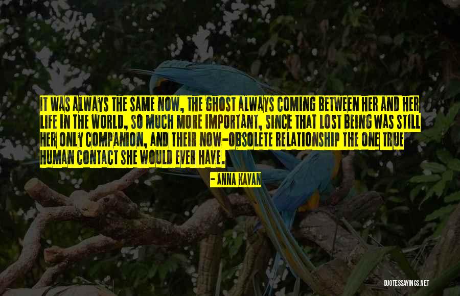 Helmand Valley Quotes By Anna Kavan